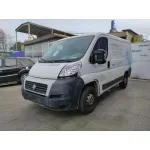 FIAT DUCATO CAJA CERRADA 33 (06.2006 =>) FIAT DUCATO CAJA CERRADA 33 (06.2006 =>) '2006 * BLANCO 0