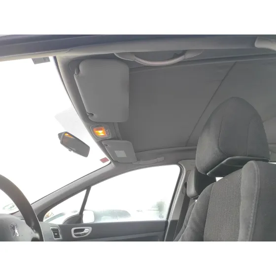 PEUGEOT 307 BREAK/SW (S2) '2007 1.6 16V CAT PLATA
