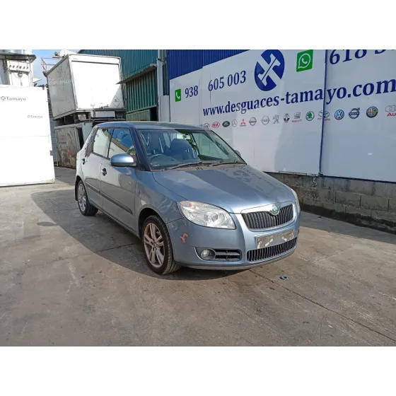 Skoda FABIA II (542) 2007