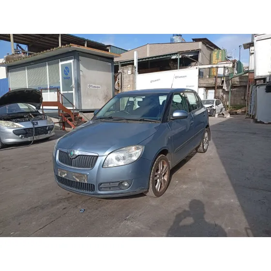 Skoda FABIA II (542) 2007