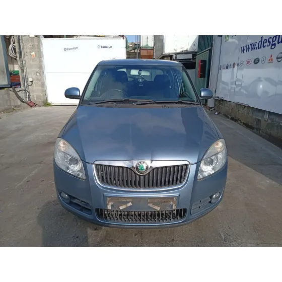 Skoda FABIA II (542) 2007