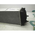 Intercooler Para Citroen Xsara Picasso