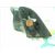 Retrovisor Izquierdo Para Citroen Xsara Picasso