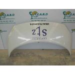 Capot Para Renault Scenic Ii