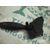 Mando Luces Para Ford Fiesta
