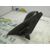 Retrovisor Derecho Para Daewoo Lanos