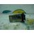 Caudalimetro Para Honda Civic Berlina 5