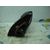 Retrovisor Derecho para Hyundai Atos Prime (Mx)