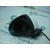 Retrovisor Izquierdo Para Opel Corsa D
