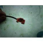 Pretensor Airbag Derecho Para Mg Rover Serie 200