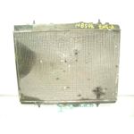Radiador Agua Para Peugeot 307