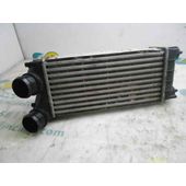 Intercooler Para Citroen Ds4