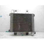 Intercooler Para Kia Carnival Ii