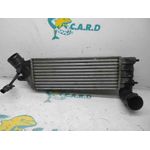 Intercooler Para Citroen C8