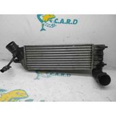 Intercooler Para Citroen C8