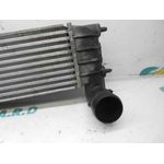 Intercooler Para Citroen C8
