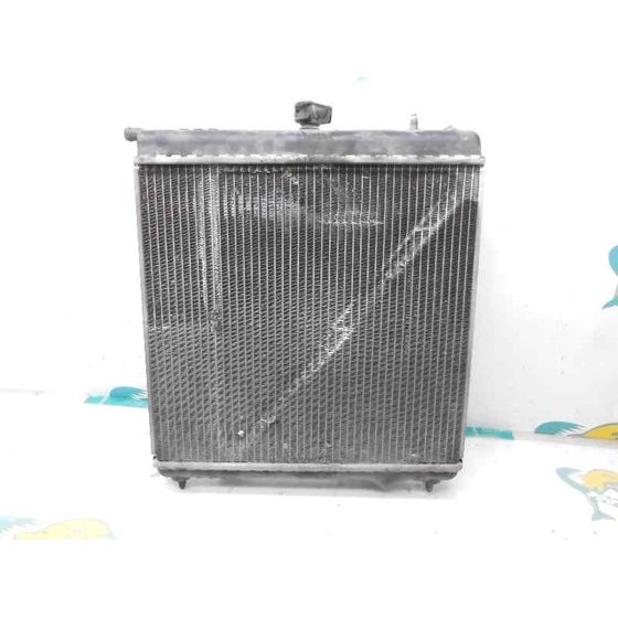 Radiador Agua Para Peugeot 1007