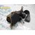 Pretensor Airbag Izquierdo Para Renault Laguna Ii
