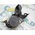 Pretensor Airbag Izquierdo Para Renault Laguna Ii