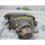 Faro Antiniebla Derecho Para Renault Laguna