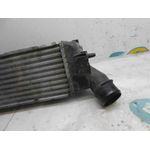 Intercooler Para Peugeot 407