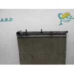 Radiador Agua Para Citroen C3