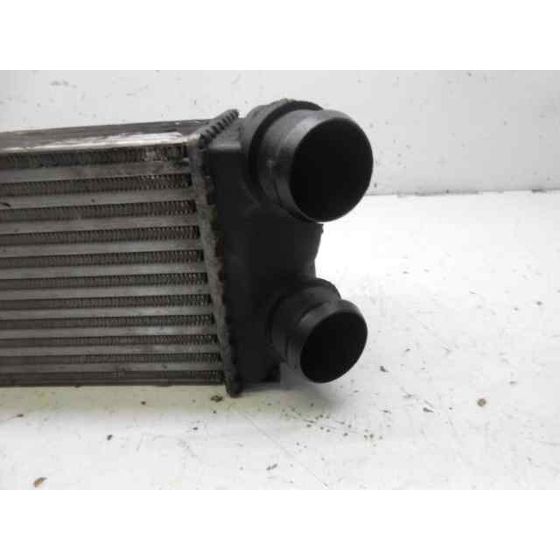 Intercooler Para Citroen C4 Coupe