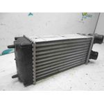 Intercooler Para Citroen C4 Coupe