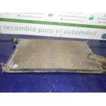 Radiador Agua Para Peugeot 406 Berlina