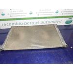 Radiador Agua Para Peugeot 406 Berlina
