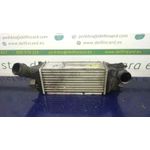 Intercooler Para Peugeot 407