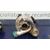 Turbocompresor para Peugeot 307 (S1)