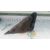 Retrovisor Derecho para Renault Scenic Ii