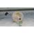 Aforador para Renault Scenic Ii
