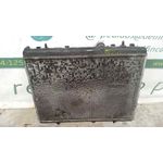 Radiador Agua Para Citroen C4 Berlina