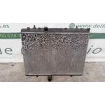 Radiador Agua Para Citroen C4 Berlina