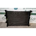 Radiador Agua Para Renault Scenic Ii
