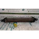 Intercooler Para Citroen Nemo
