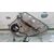 Elevalunas Trasero Izquierdo Para Ford Kuga