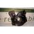 Kit Airbag para Ford Fiesta (Cbk)