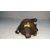 Faro Antiniebla Izquierdo Para Volkswagen Golf V Berlina