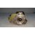 Bomba Alta Presion para Renault Megane Ii Berlina 3P