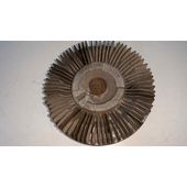 Ventilador Viscoso Motor Para Land Rover Range Rover