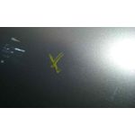 Puerta Trasera Derecha Para Citroen C4 Picasso