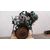 Motor Completo Para Toyota Avensis Berlina