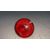 Faro Antiniebla Trasero Izquierdo para Land Rover Defender (Ld)