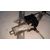 Elevalunas Delantero Derecho para Peugeot 206+