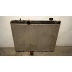 Radiador Agua Para Peugeot 407