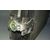 Condensador / Radiador Aire Acondicionado Para Volvo V70 Familiar