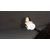 Retrovisor Derecho Para Toyota Yaris